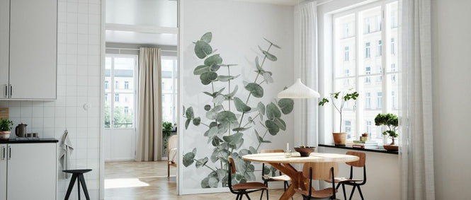 PHOTOWALL / Eucalyptus Creative XVI (e332379)