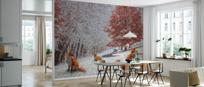 PHOTOWALL / Foxes in Winter White and Red (e332505)