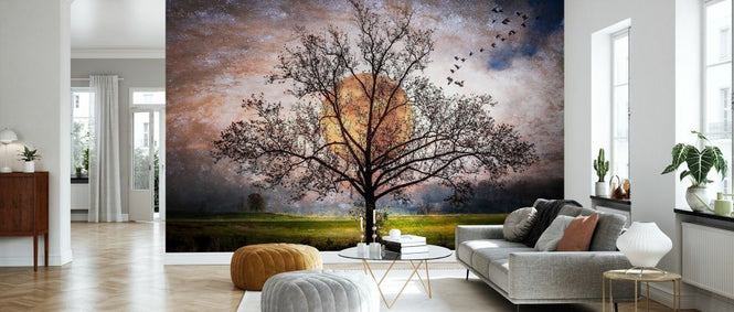 PHOTOWALL / As the Moon Rises (e332519)