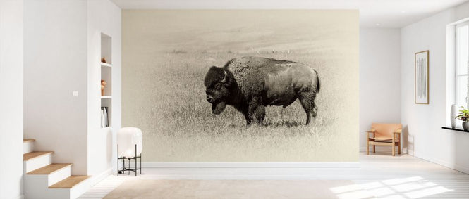 PHOTOWALL / Badlands Antique III (e332556)