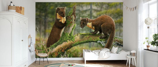 PHOTOWALL / Pine Martens (e332597)