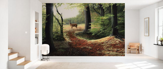 PHOTOWALL / Roe Deer (e332600)