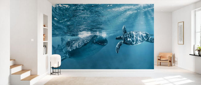 PHOTOWALL / Once at the Ocean (e333723)