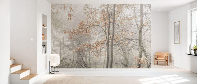 PHOTOWALL / Misty Forest (e333961)