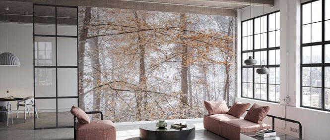 PHOTOWALL / Misty Forest III (e333963)