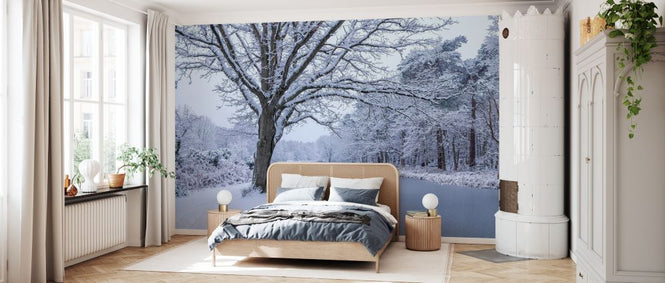 PHOTOWALL / Canal on a Snowy Day (e333985)