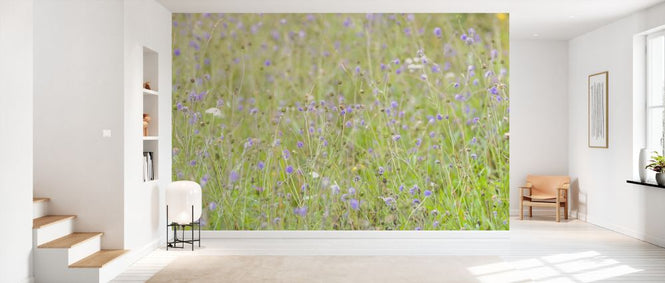 PHOTOWALL / Meadow Flowers II (e333957)
