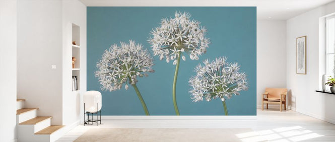 PHOTOWALL / Three Alliums (e334003)