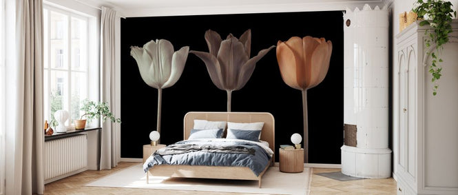 PHOTOWALL / Three Tulips IV (e334014)