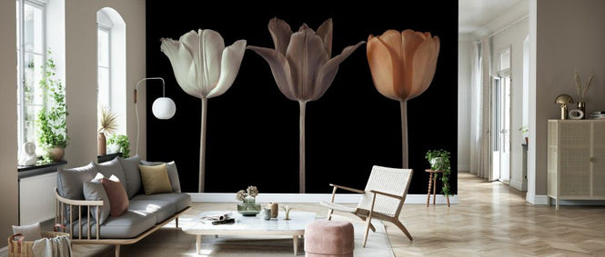 PHOTOWALL / Three Tulips IV (e334014)