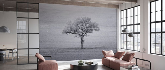 PHOTOWALL / Lone Tree (e334082)