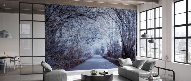 PHOTOWALL / Frosted Road Through Forest II (e334086)