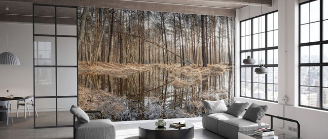 PHOTOWALL / Forest Reflections (e334092)