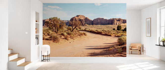 PHOTOWALL / Utah Desert Path (e334278)