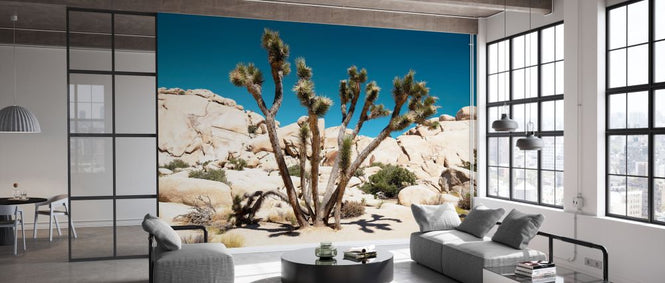 PHOTOWALL / The Joshua Tree (e334286)