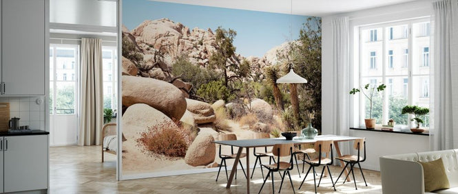 PHOTOWALL / Boulders Desert (e334291)