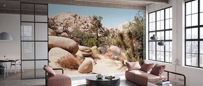 PHOTOWALL / Boulders Desert (e334291)