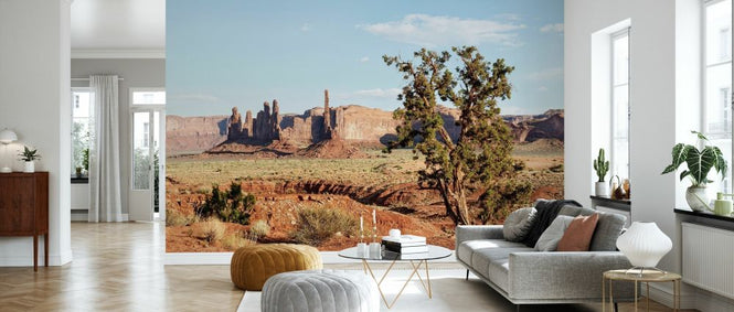 PHOTOWALL / Monument Valley Tribal Park V (e334295)