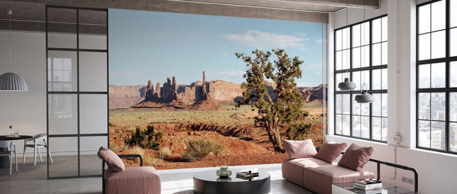 PHOTOWALL / Monument Valley Tribal Park V (e334295)