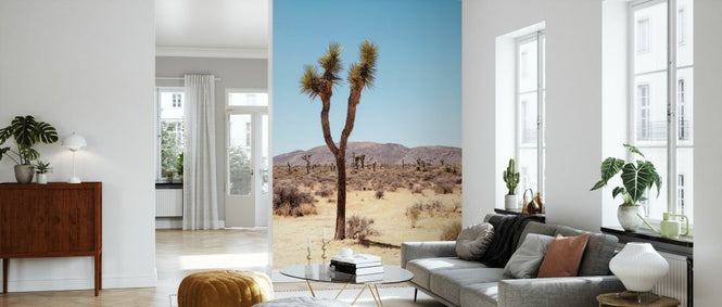 PHOTOWALL / Joshua's Desert (e334303)