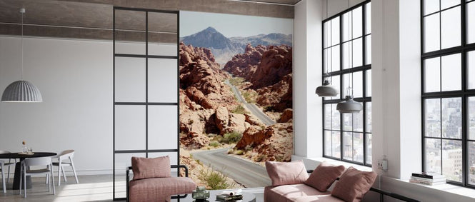 PHOTOWALL / Valley of Fire Road (e334343)