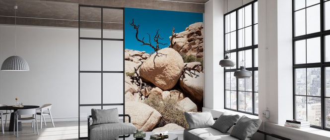 PHOTOWALL / Boulders Nature (e334366)
