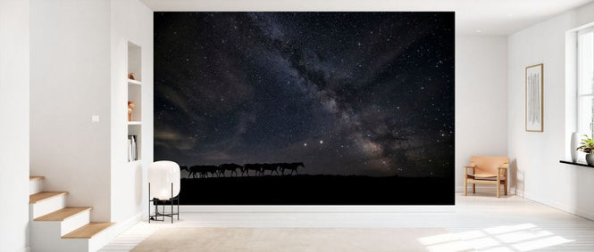 PHOTOWALL / View at Rest (e334845)
