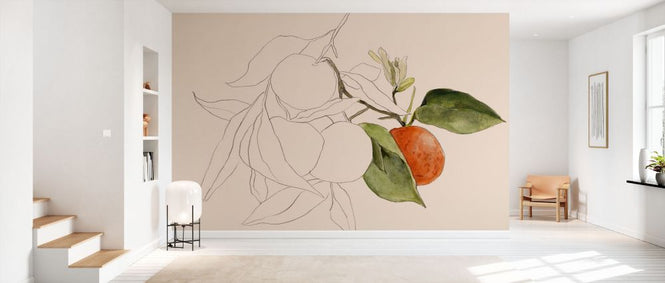 PHOTOWALL / Tangerine Sketch (e334874)