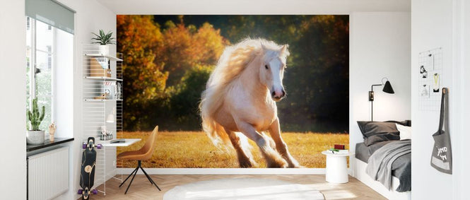PHOTOWALL / Horse Motion IV (e335173)
