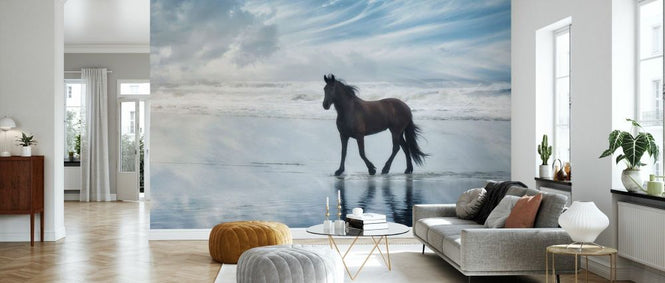 PHOTOWALL / Horse Motion VI (e335174)