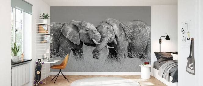 PHOTOWALL / Elephant Flight (e335651)