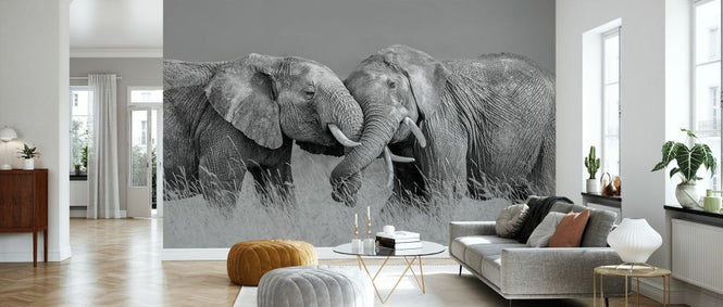 PHOTOWALL / Elephant Flight (e335651)