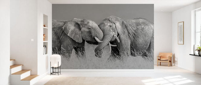 PHOTOWALL / Elephant Flight (e335651)