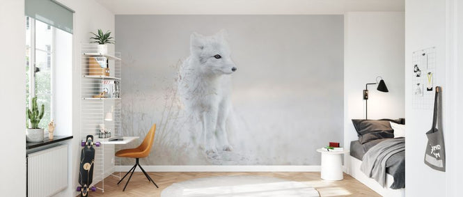 PHOTOWALL / Looking Around (e335695)