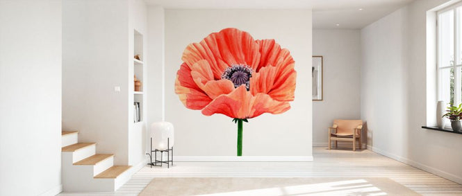PHOTOWALL / Magnified Poppy II (e336550)