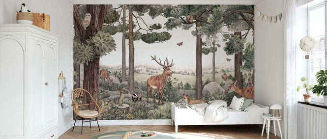 PHOTOWALL / Forest Jive (e84564)