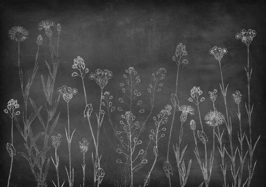 coordonne / Instant / 8500102 N