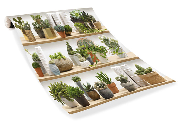【OUTLET】KOZIEL / STYLIZED CACTUS ON SHELVES WALLPAPER 8888-402