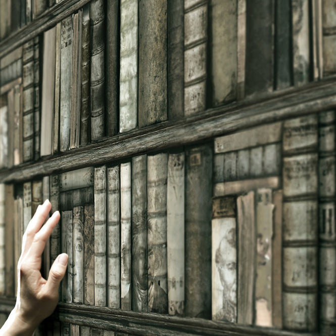 【切売m単位】KOZIEL / BIBLIOTHEQUE ANTIQUE (本棚) 8888-561