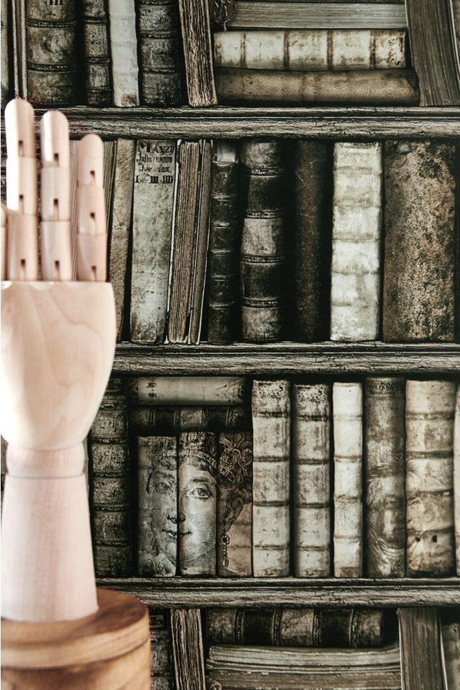 【OUTLET】KOZIEL / BIBLIOTHEQUE ANTIQUE (本棚) 8888-561