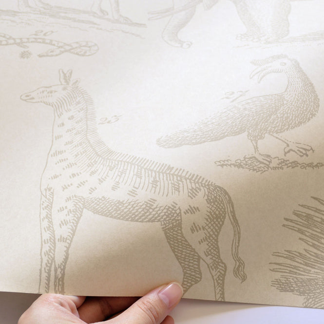 Andrew Martin / Museum / Ark Sand