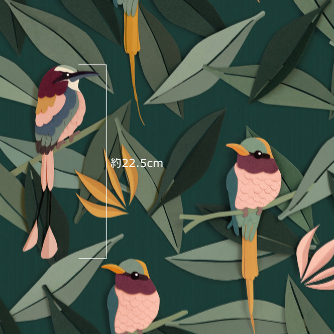 鳥のサイズ参照画像
