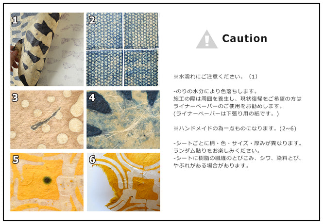 【限定数】LE MONDE SAUVAGE de BEATRICE LAVAL / ルモンドソヴァージュ William 1801 (12枚1セット)
