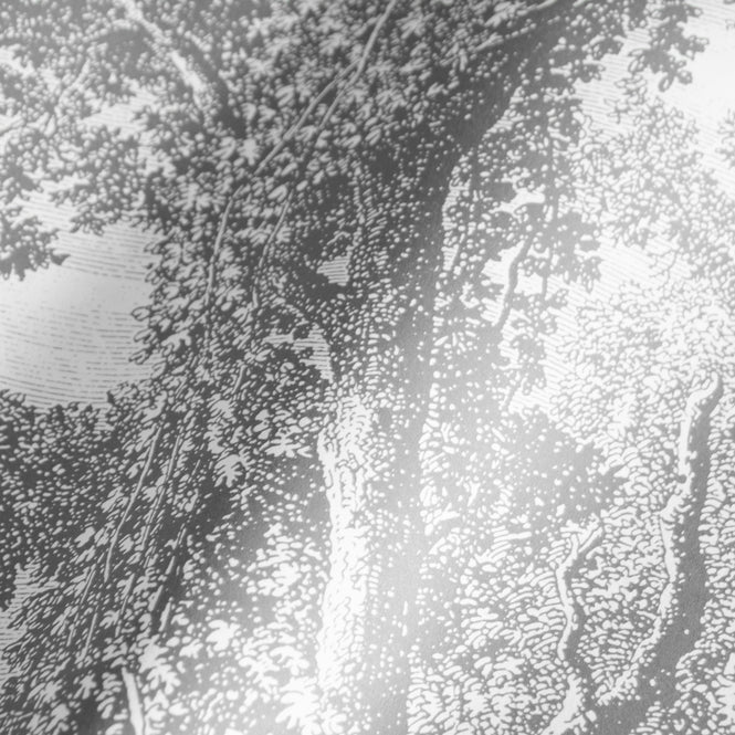 輸入壁紙 KEK Amsterdam / WALLPAPER 2020 / WALLPAPER CIRCLES ENGRAVED TREE CK-013