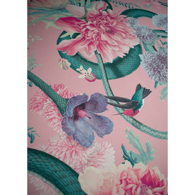 DIVINE SAVAGES / Forbidden Bloom 'Blush' / DVS032-FBL-BLS-WR