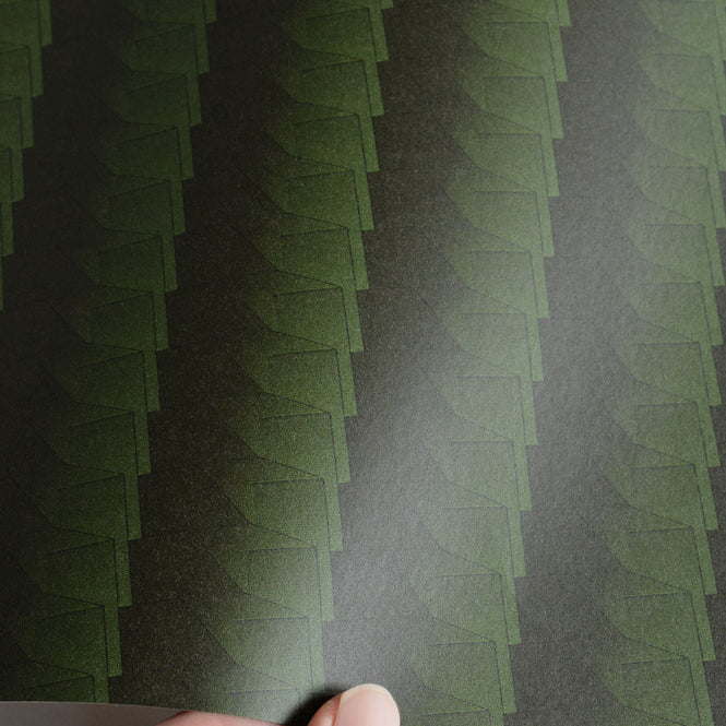 Studio DeSimoneWayland / VOLUME2 / EUCLID MINI CHLOROPHYL VO2-EUM-CH【MATTE COATED】【4ロールセット】