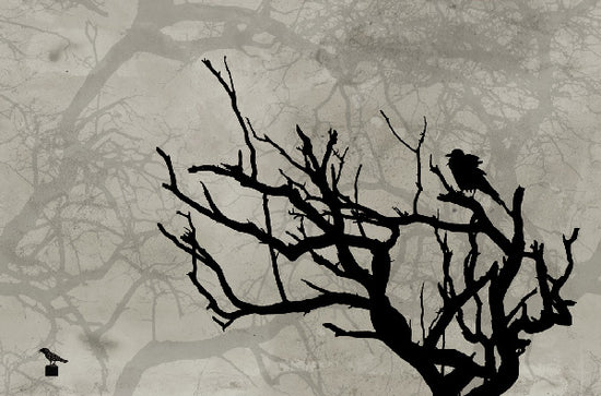 Wall&deco / Gio Pagni 14 Crow / GPW1417