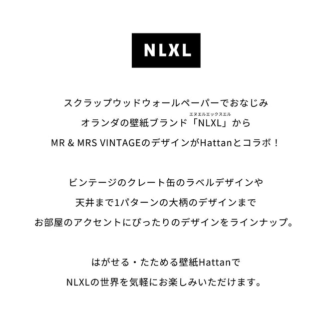 はがせる 壁紙 【Hattan Pattern】NLXL BIG PATTERN "PAOLA" MURAL Dset HMRV-03D(6枚セット)