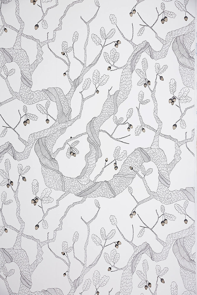 Abigail Edwards / Oak Tree White
