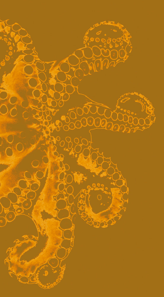 Malz & Malz Interieur / Octopus/arancia